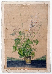 Orties - aquarelle - 51 x  34 - 1984